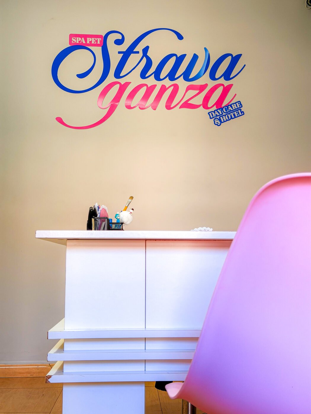 Recepção da Stravaganza