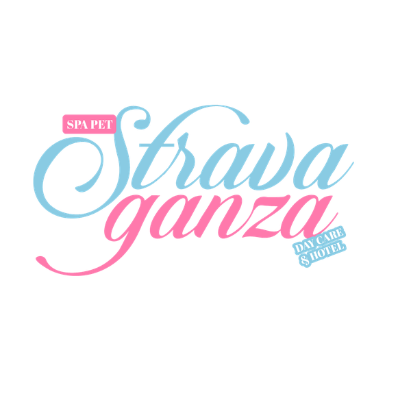 Stravaganza